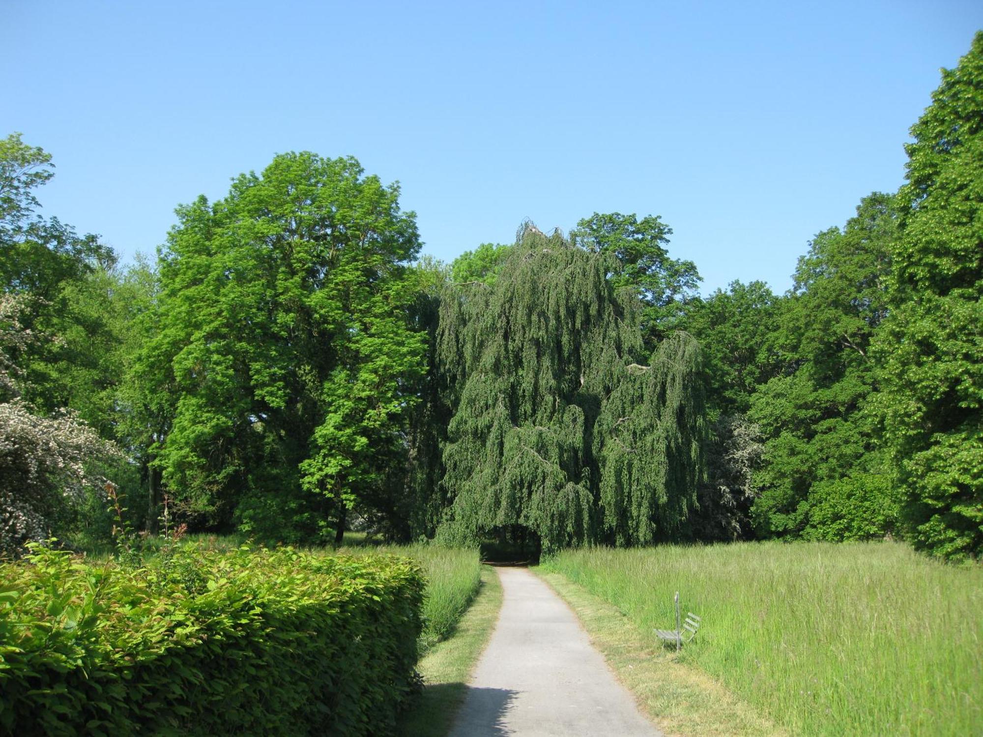 Altstadtapartment Haldensleben Bagian luar foto