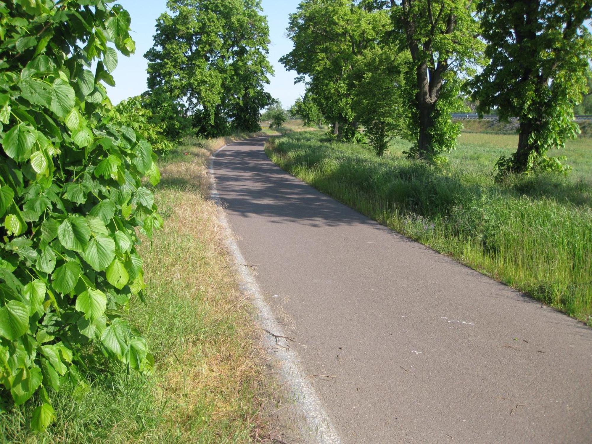 Altstadtapartment Haldensleben Bagian luar foto